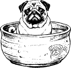 Pug Pot Studio